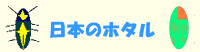 日本のホタル